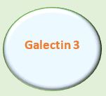 Galectin-3